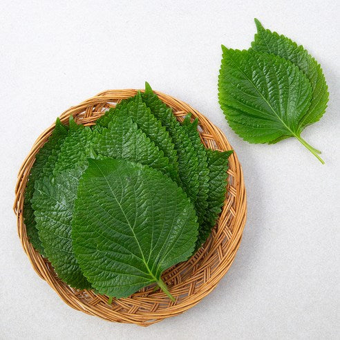 Korean Sesame leaf